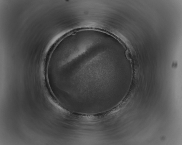 X0000101141120200807071120