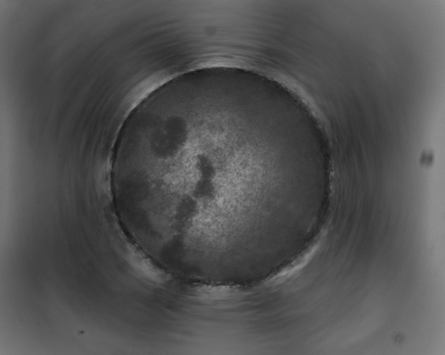 X0000101141121200807071120