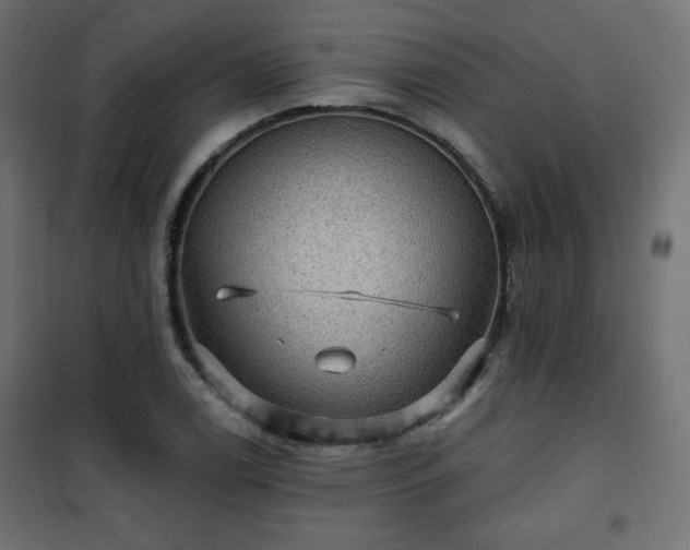 X0000101141122200807071120