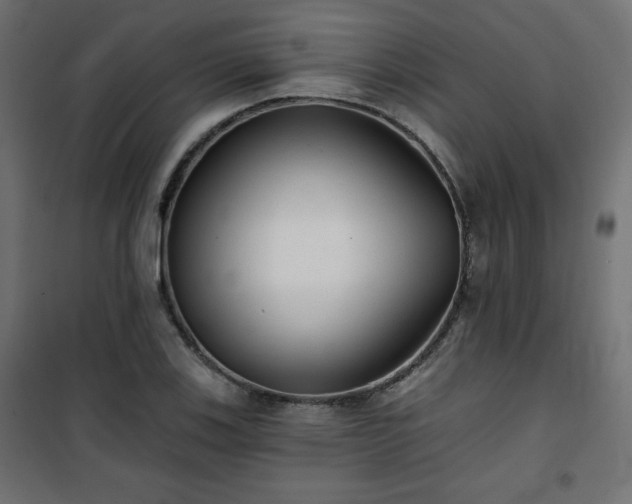 X0000101141123200807071120