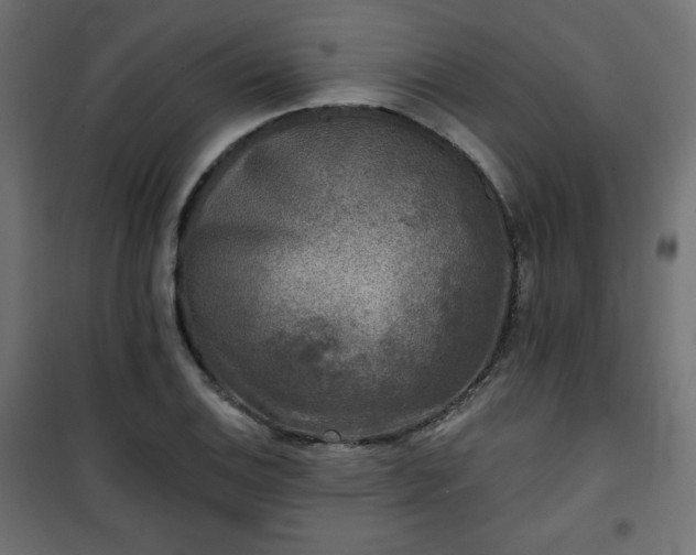 X0000101141124200807071120