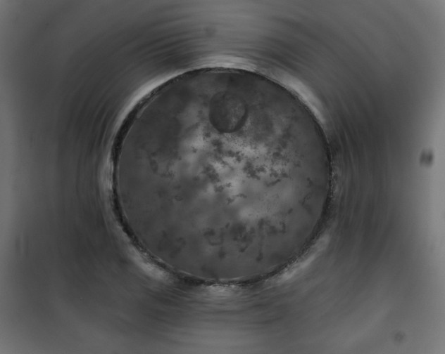 X0000101141125200807071120