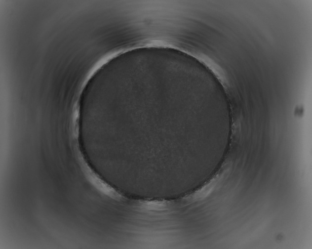 X0000101141126200807071120