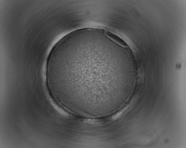 X0000101141128200807071120