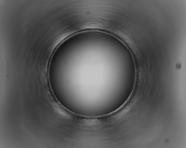 X0000101141129200807071120