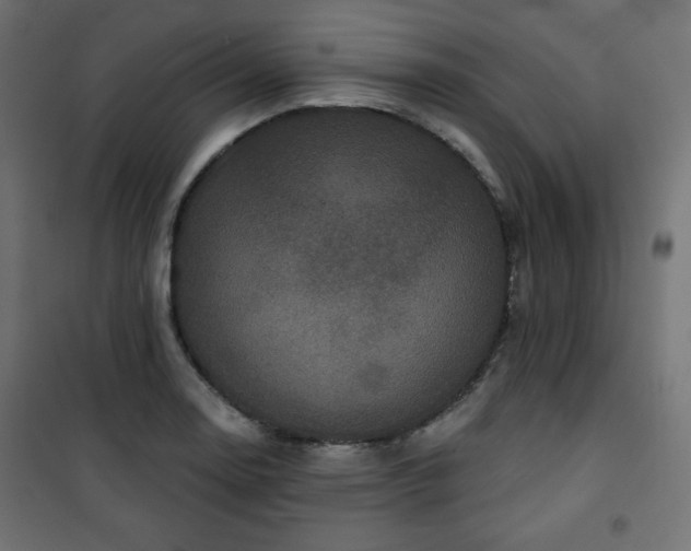 X0000101141130200807071120