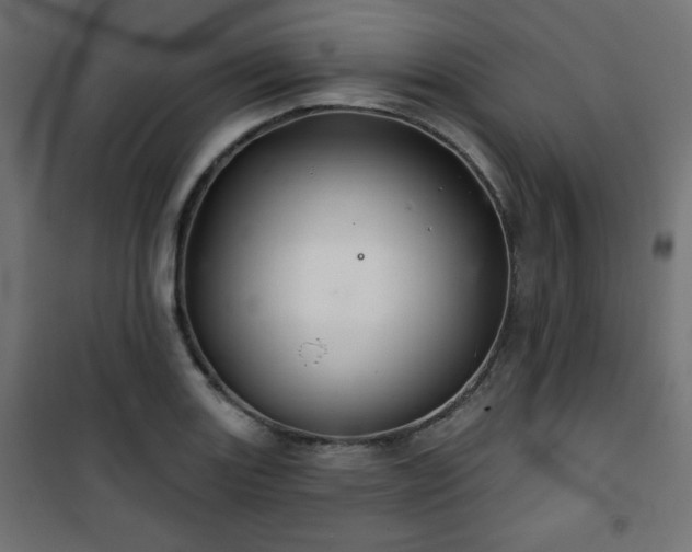 X0000101141131200807071120