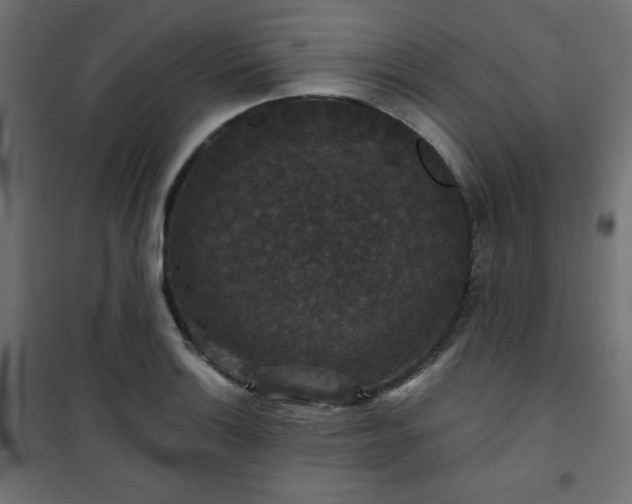 X0000101141132200807071120