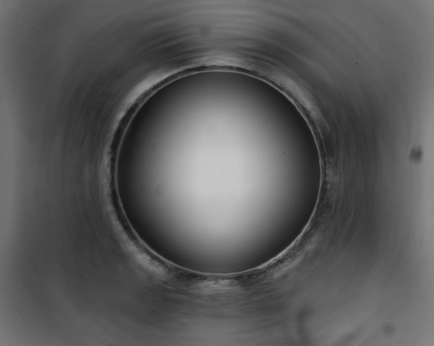 X0000101141133200807071120