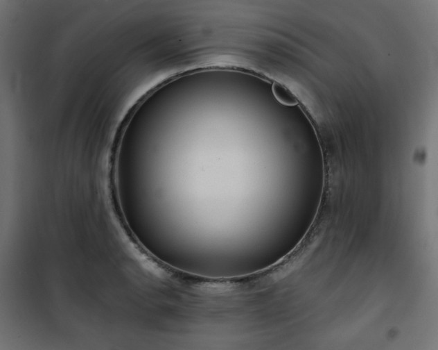 X0000101141134200807071120