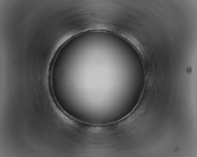 X0000101141135200807071120