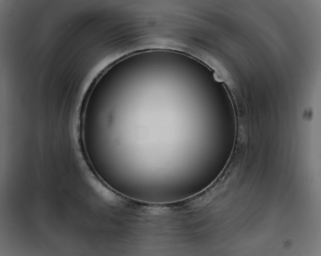 X0000101141136200807071120