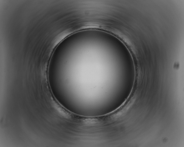 X0000101141137200807071120