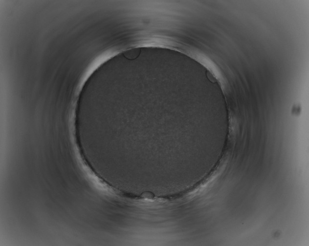 X0000101141138200807071120