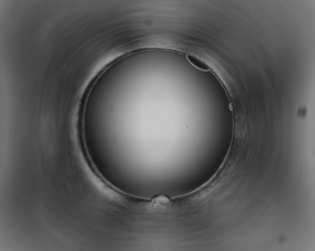 X0000101141139200807071120