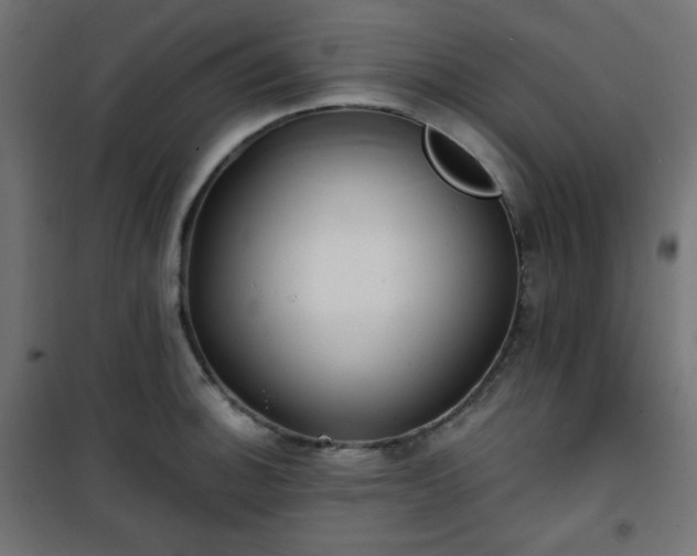 X0000101141140200807071120