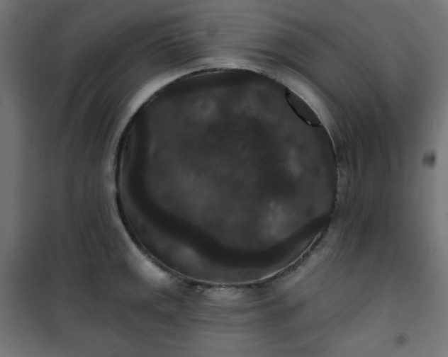 X0000101141141200807071120