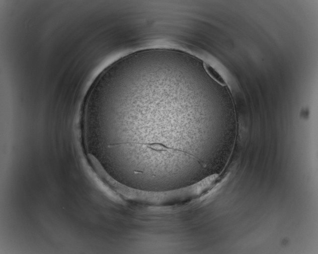 X0000101141142200807071120