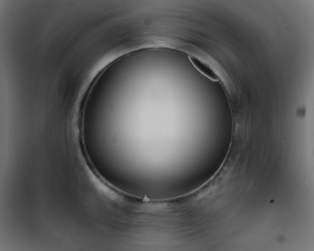 X0000101141143200807071120