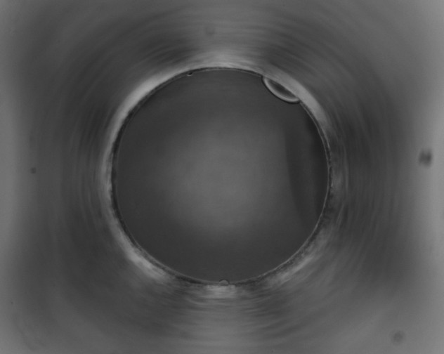 X0000101141144200807071120