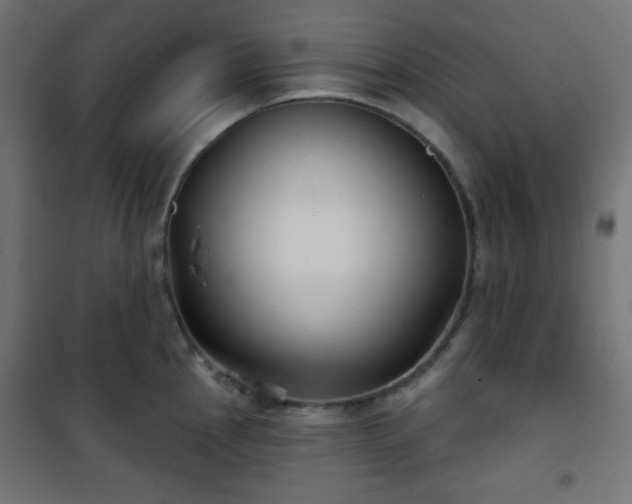 X0000101141145200807071120