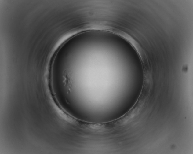 X0000101141147200807071120