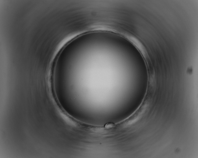 X0000101141149200807071120