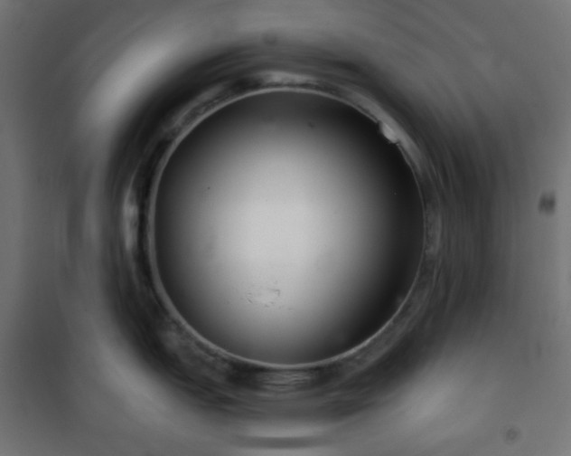 X0000101141151200807071120