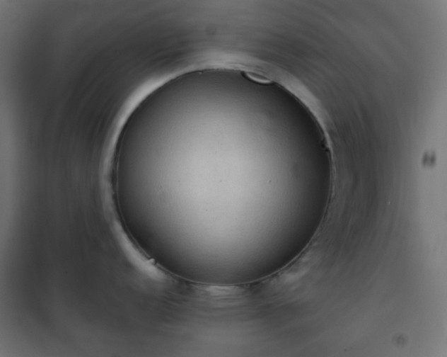 X0000101141152200807071120