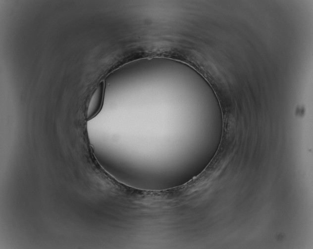 X0000101141153200807071119