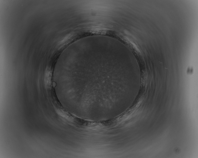 X0000101141154200807071119