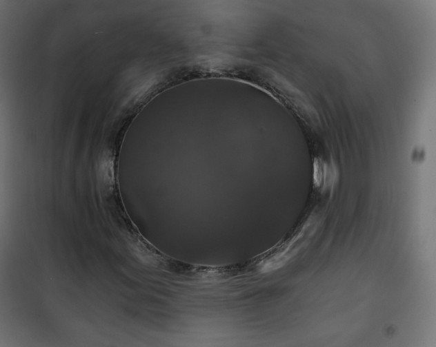 X0000101141155200807071119