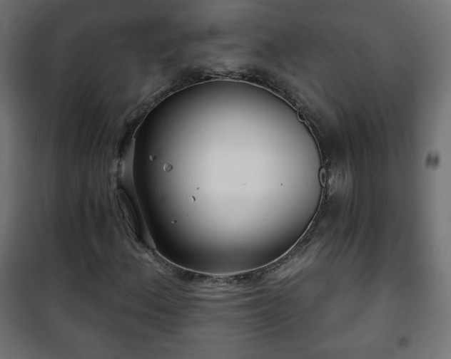 X0000101141156200807071119