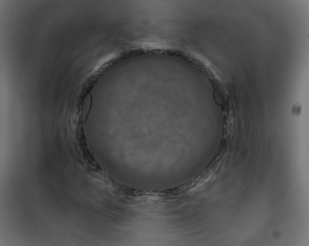 X0000101141157200807071119