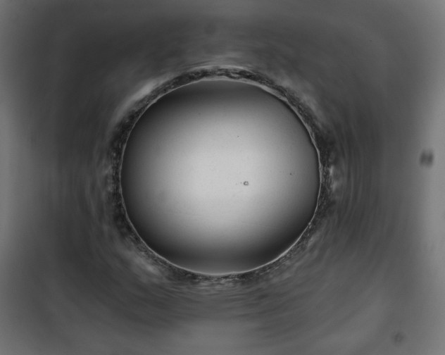 X0000101141159200807071119