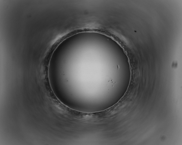 X0000101141160200807071119