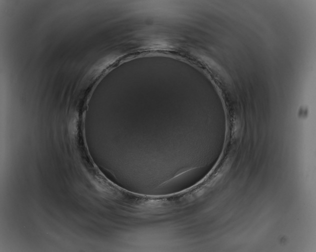 X0000101141161200807071119