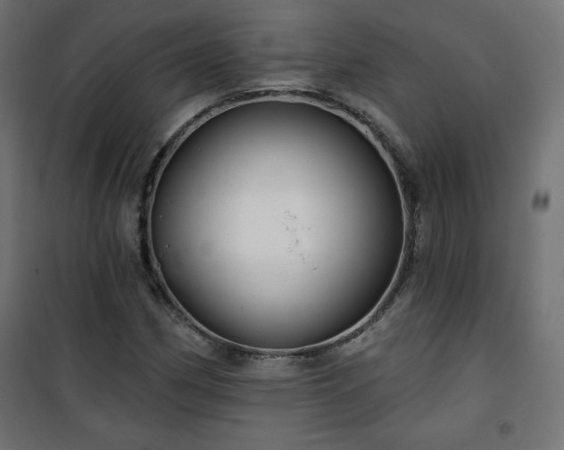 X0000101141162200807071119