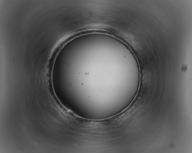 X0000101141164200807071119