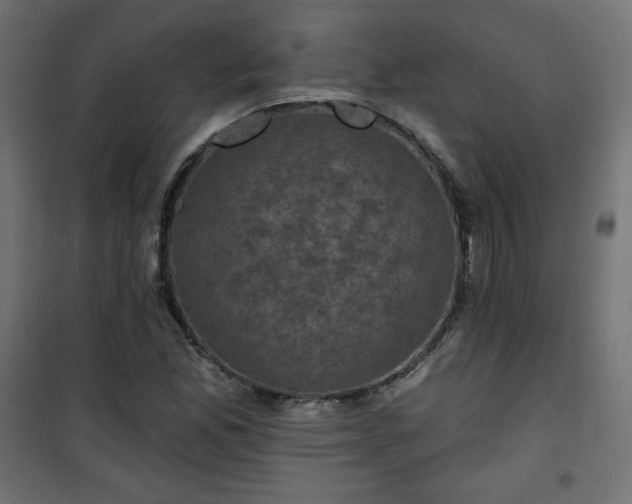 X0000101141165200807071119