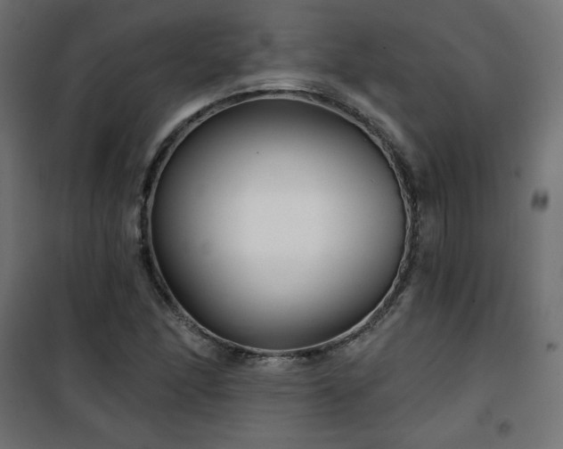 X0000101141166200807071119