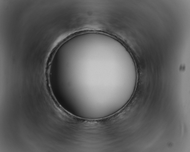 X0000101141168200807071119