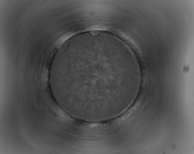 X0000101141169200807071119