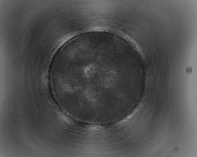 X0000101141170200807071119