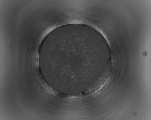 X0000101141171200807071119