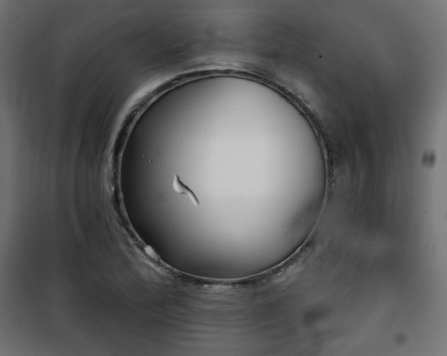 X0000101141172200807071119