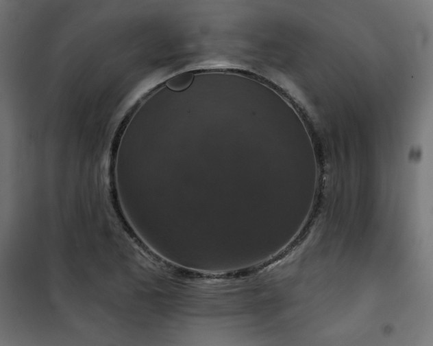 X0000101141173200807071119