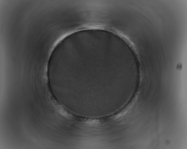 X0000101141174200807071119