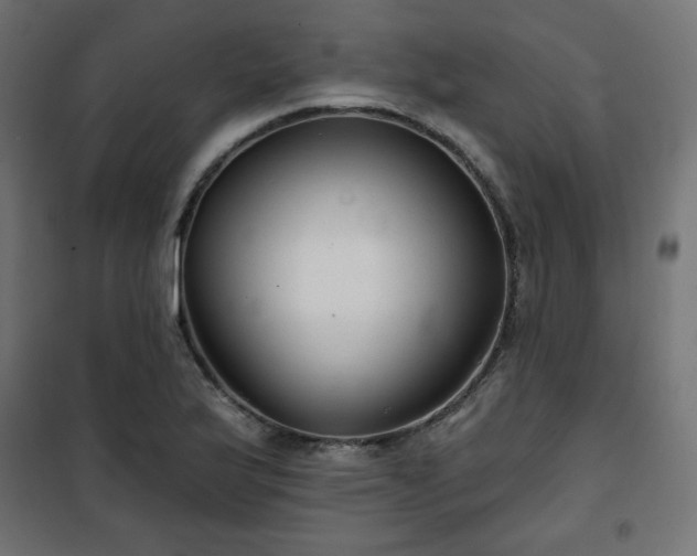 X0000101141175200807071119