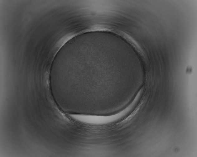 X0000101141177200807071119